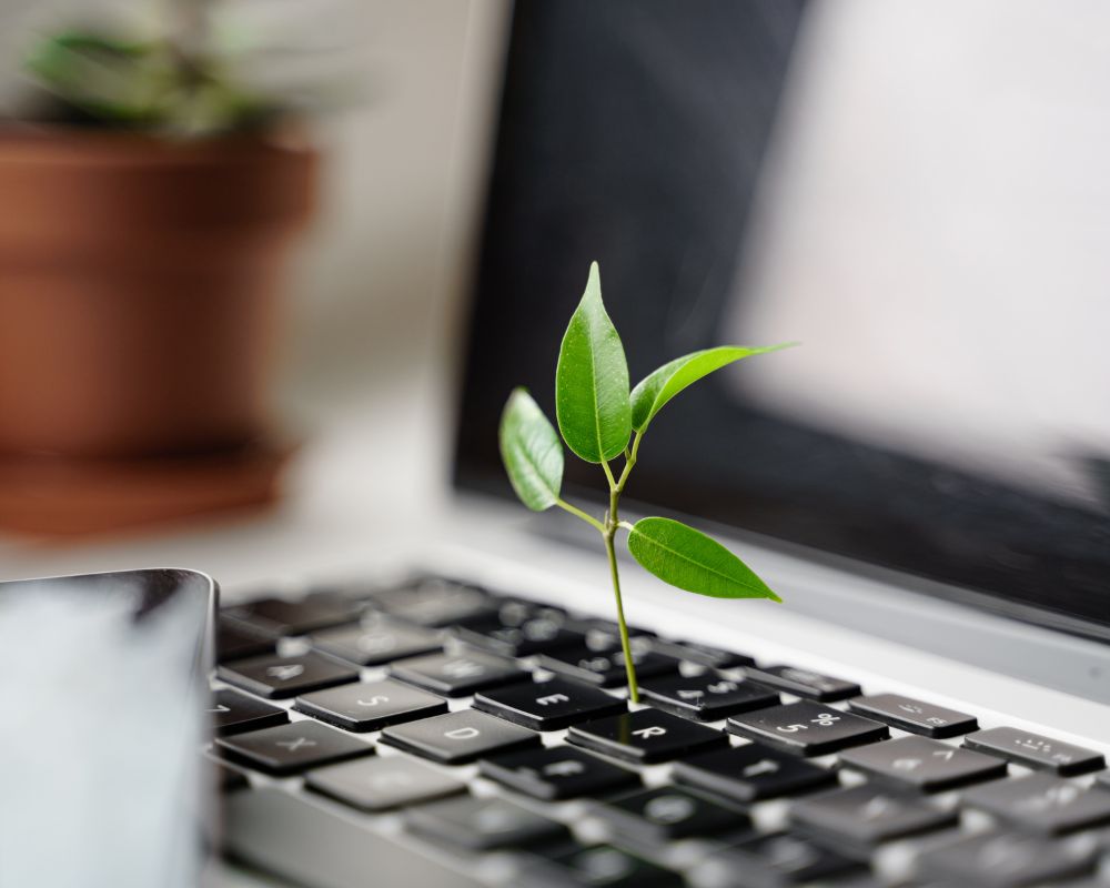 Planta verde creciendo sobre un teclado de ordenador, simbolizando sostenibilidad y digitalización en la gestión legal.